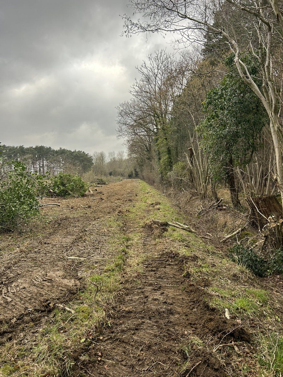 Ed blake tweet media