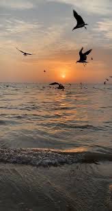 الصبر الجميل 
هو أن تبقى جذورك راسخة حتى لو عصفت بك الأيام، أن تزهر رغم قسوة الطقس، أن تحب الحياة رغم كل ما تأخذه منك، لأنك تؤمن أن ما عند الله أجمل وأبقى.