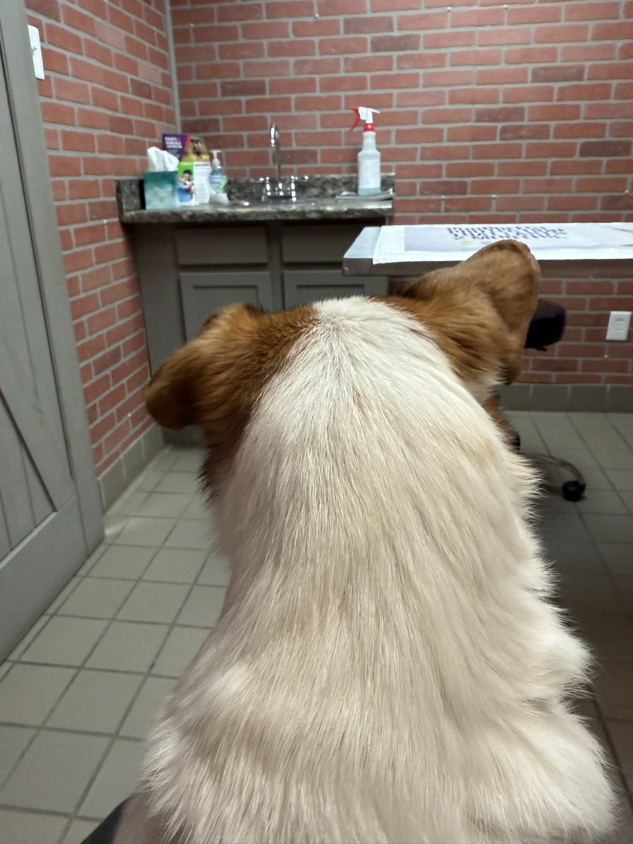 nobody you know tweet media