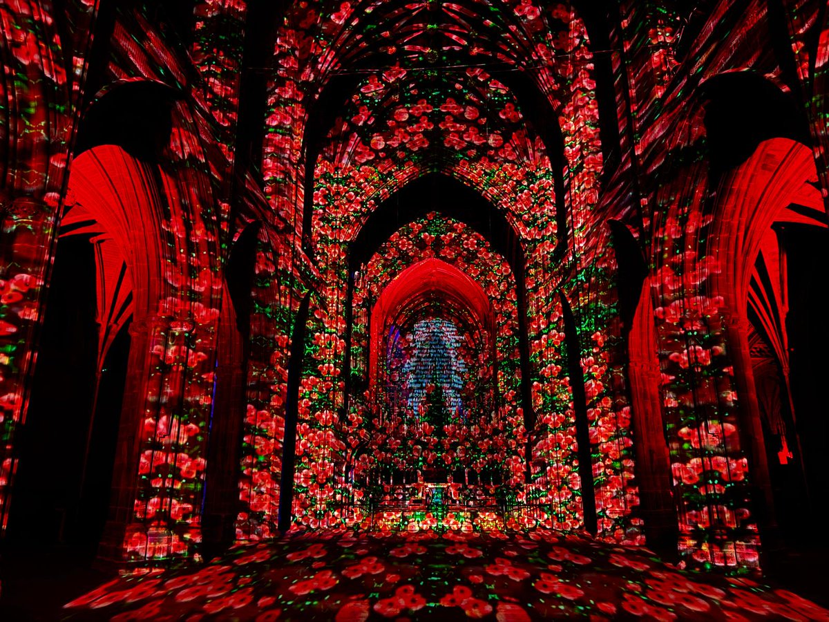 Beautiful Poppy Fields at <a href="/ChesterCath/">Chester Cathedral</a>