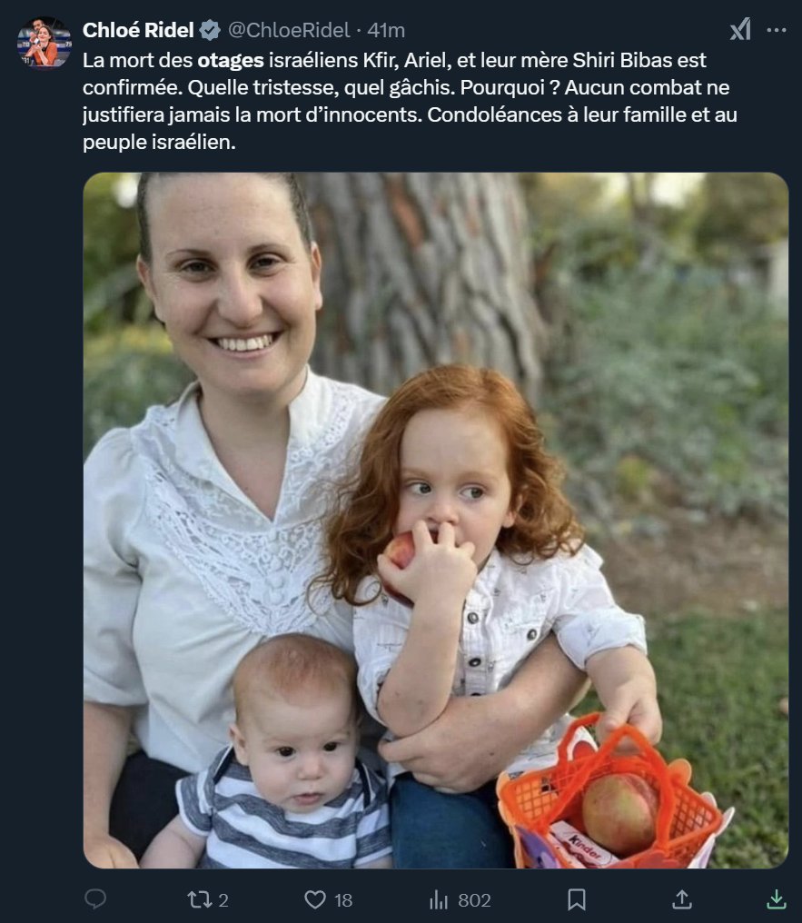 Selon les chiffres officiels (sous-évalués), pour 1 enfant israélien tué par le Hamas, il y a eu 217 enfants palestiniens tués par Israël.

Chaque vie arrachée est insupportable. 

Mais dans ce cas pourquoi ne voit-on que les visages des victimes israéliennes sur nos écrans ?