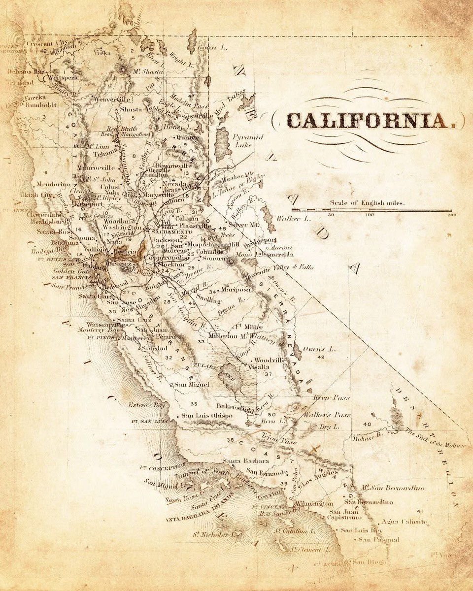 RepbCalifornia's tweet image. I want the old California back—free from radical ideologies, where common sense, SANE mind and hard work thrived! The USA is healing; it’s time to heal California too! Let’s take back our state and drive out the chaos that has taken root for far too long! @elonmusk…