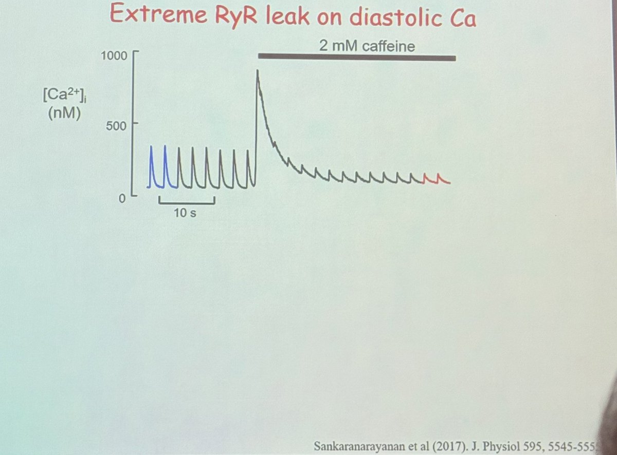 EugenioCingolan's tweet photo. Such a pleasure to meet Professor David Eisner @DavidAEisner and listen to his great lecture ➡️ Regulation of Ca++ in the Heart : Free and Beyond ✔️ @SmidtHeart @CMECedarsSinai @CedarsSinaiMed #ECCoupling #Ca #RyR #SERCA #NCX https://t.co/86jmLTq4Ji