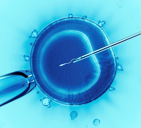 EricLDaugh's tweet photo. 🚨 #BREAKING: President Donald Trump signs executive order expanding access to IVF - in vitro fertilization.

- Directs new policy recommendations to reduce IVF costs and protect access
- Recognize importance of family formation and that public policy "must make it easier for loving and longing mothers and fathers to have children."

This is delivering on a key promise to protect IVF, and smacks down Democratic talking points that Republicans oppose IVF.
