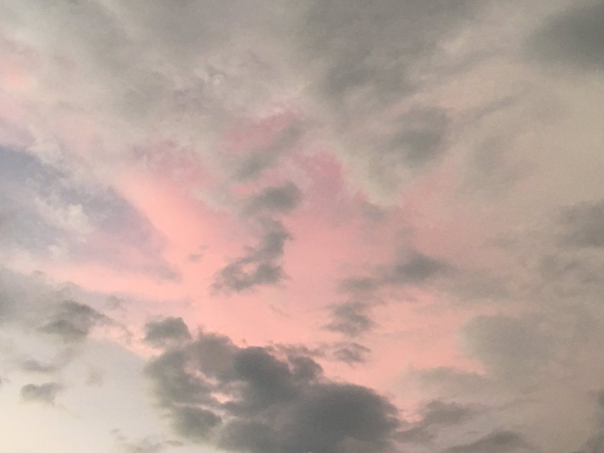 officesevenn's tweet image. 