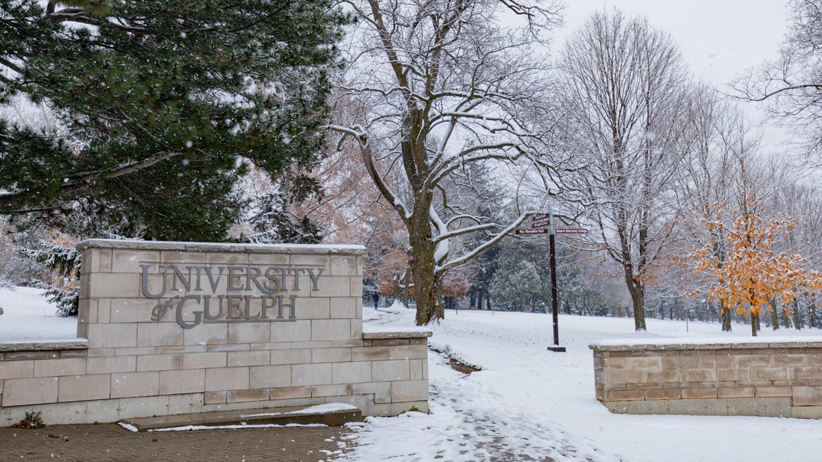 #UofG has been ranked among the most prestigious universities in the world, according to the 2025 Times Higher Education (THE) World Reputation Rankings.

Learn more: uoguel.ph/qh7o8