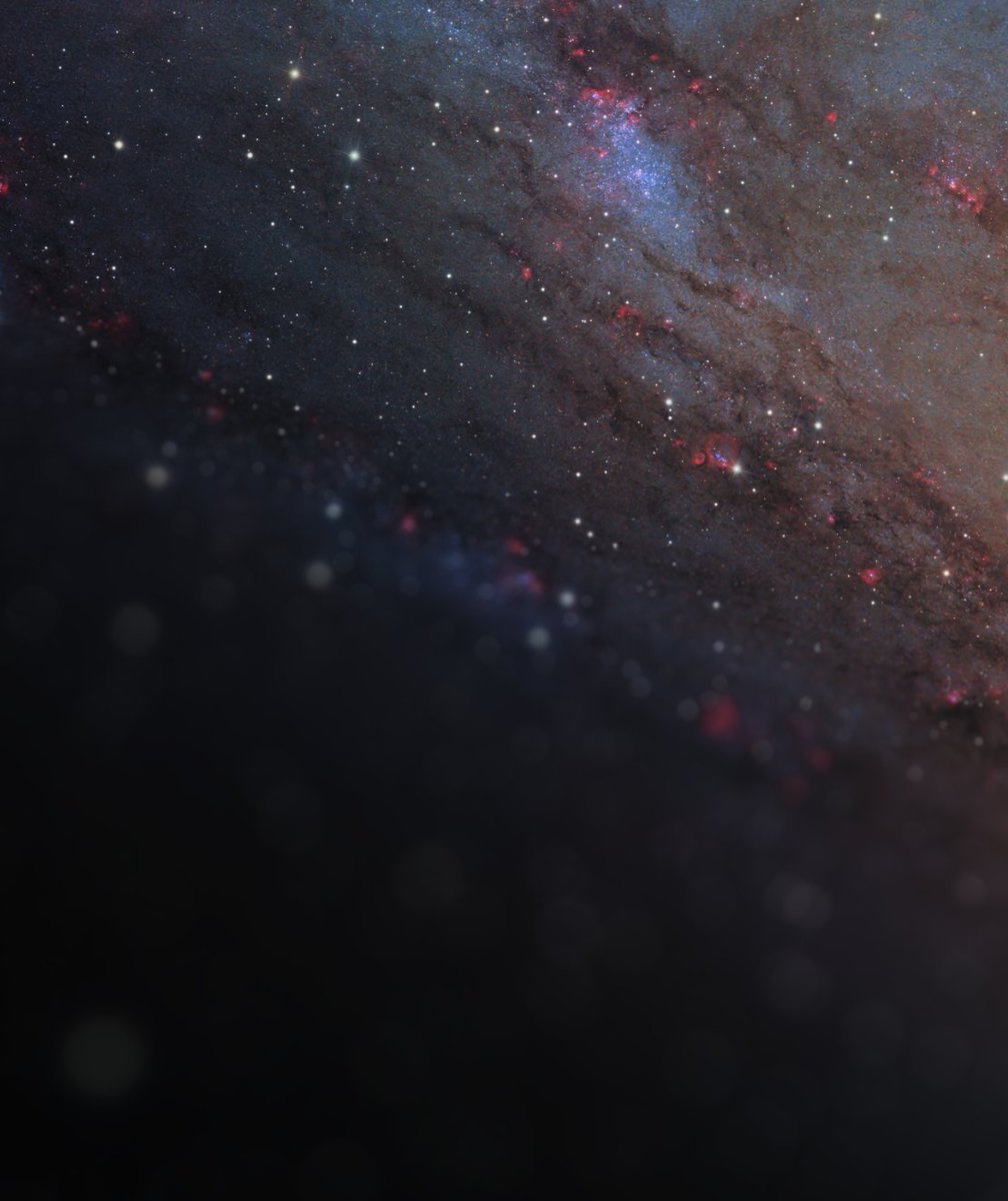 Andrew McCarthy tweet media