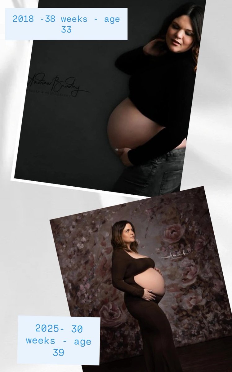 Hannah Botes tweet media