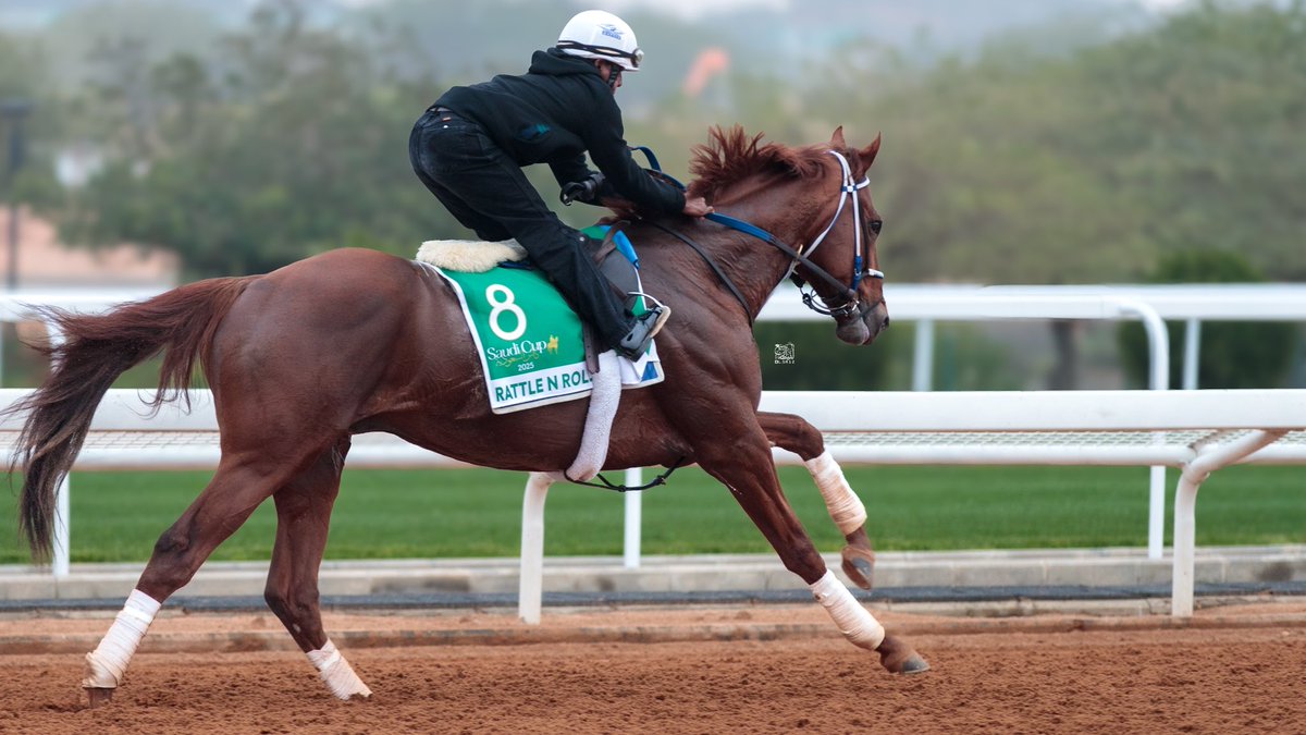 18_layth's tweet photo. Morning training for horses participating in the ( Saudi Cup🏆🇸🇦 )

Forever Young (JPN) 
 EL kodigo (ARG )
Rattle N Roll (USA) 
Ushba Tesoro (JPN)

#サウジカップ

#TheSaudiCap https://t.co/AvIJSUa36I