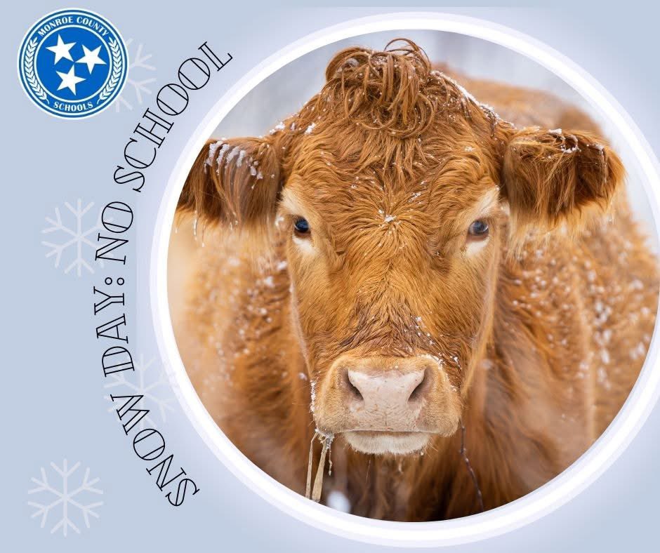 @MonroeCountySchoolsTN tweet media