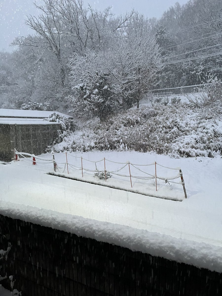 maty_jun's tweet photo. あー、道真っ白。家出れやん。 https://t.co/hdFNU0vEBE