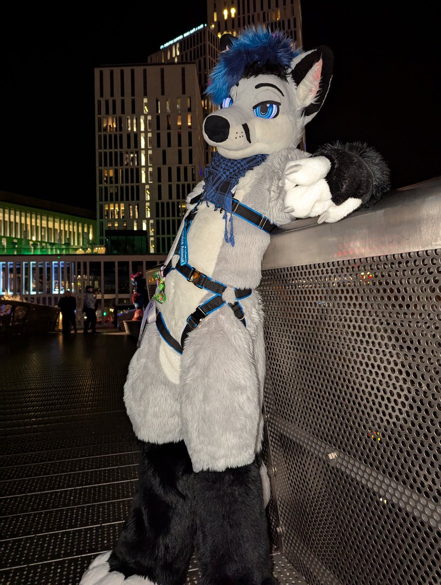 Made it to #NFC2025! What a first night! 

Come pester me this con or else 😈