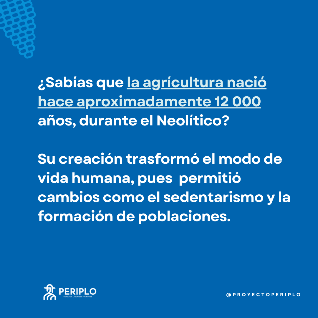 🤓Hace 12 mil años se creó la agricultura, un suceso que cambió totalmente la forma en la que los seres humanos se relacionaban.

Desde entonces esta actividad sostiene nuestra alimentación; por eso es tan importante  impulsar condiciones justas para su desarrollo 🙌🌱