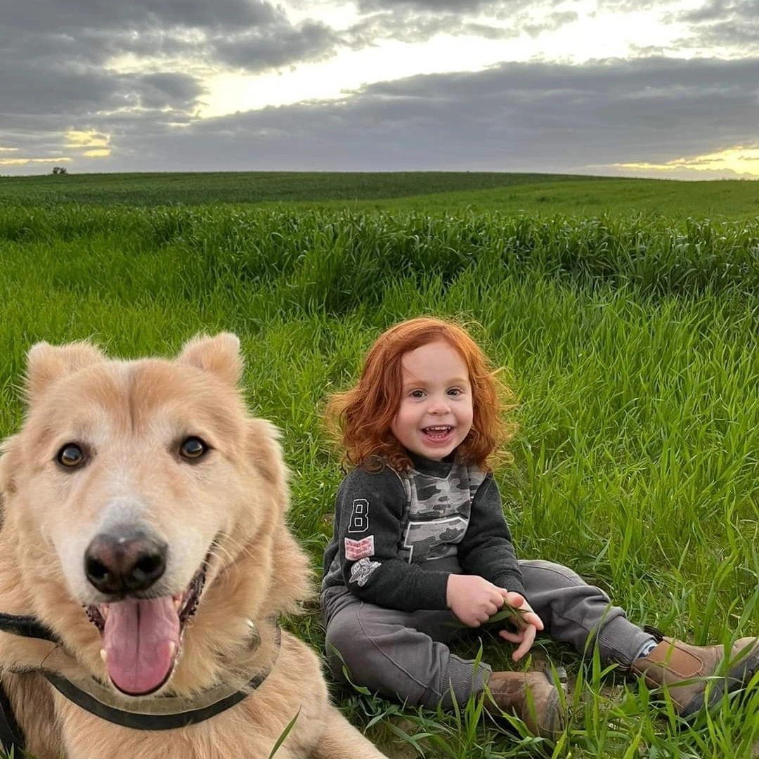 VividProwess's tweet photo. Many of you don't know this, but Hamas brutally murdered Tonto, the family's beloved dog, on October 7th, before kidnapping this entire family to Gaza.

Shiri's parents, Yossi and Margalit, were also murdered.

The evil Israel is fighting against is nothing short of demonic. https://t.co/EftlzHDUbL