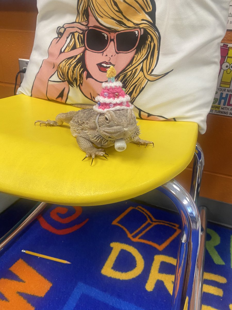 Mrs. Houchens (@houchensmrs) on Twitter photo Happy Gotcha Day to Lizzie, the best class pet in the world! <a href="/plainviewElem/">Plainview Elementary School</a> Happy Gotcha Day to Lizzie, the best class pet in the world! <a href="/plainviewElem/">Plainview Elementary School</a>