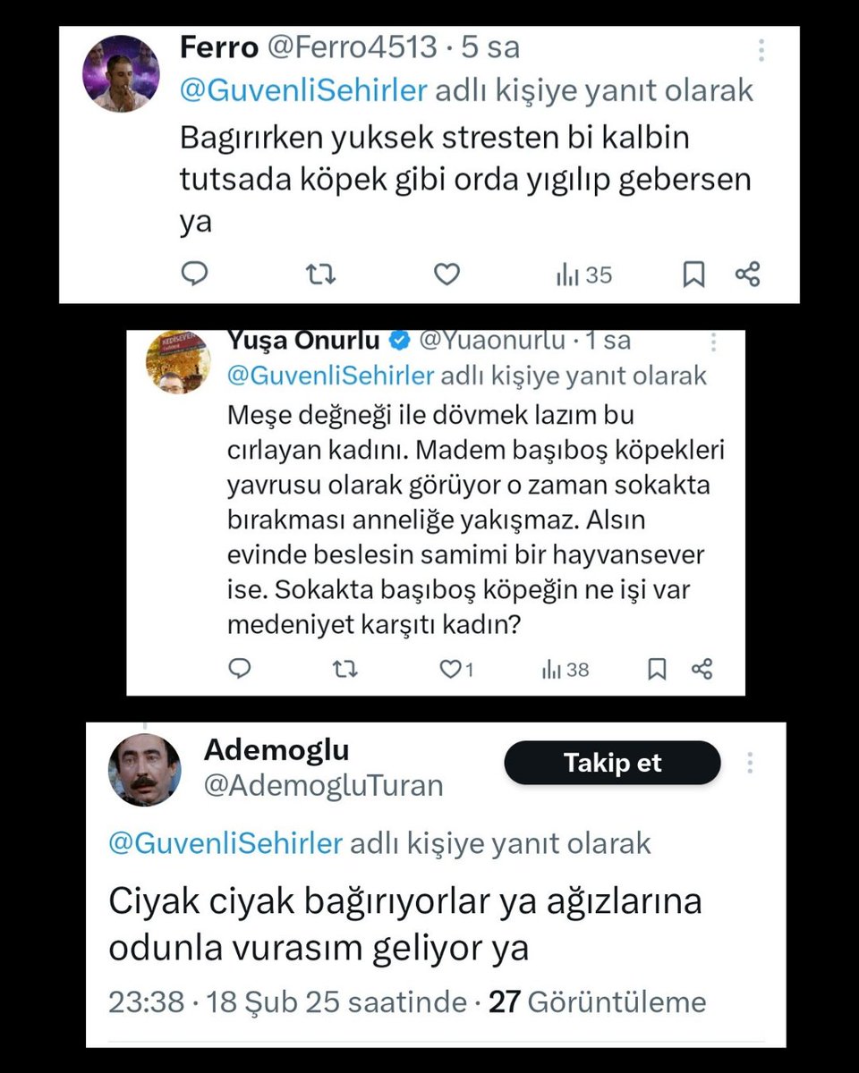 Altındağ'da köpeklerini belediyeye vermek istemeyen Necla Teyze, GÜSODER'in hedef göstermesinin ardından kedileriyle birlikte yanarak öldü. #GüsoderKapatılsın ve YÖNETİCİLERİ TUTUKLANSIN !