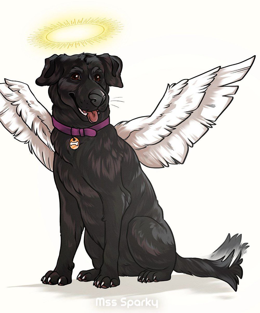 🐕🌟

#Art #Drawing #puppy