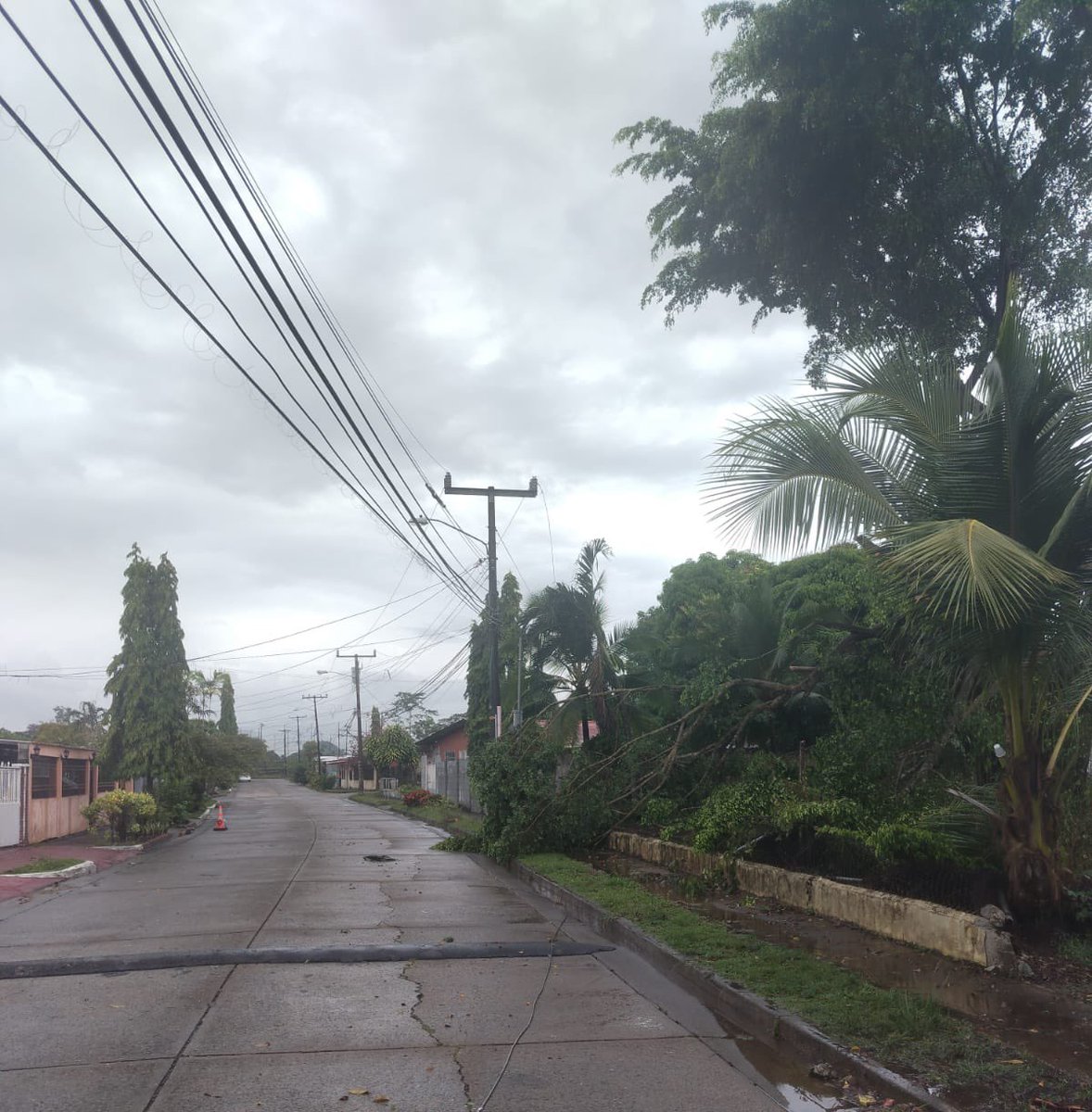 NaturgyPa's tweet photo. 📢 #NaturgyInforma que estamos experimentando una interrupción del suministro debido a una poda de árbol por un tercero, la cual cae sobre la línea de media tensión afectando los sectores de Vacamonte en calle Coral.

Nuestras brigadas van en camino para detectar el motivo y restablecer el servicio lo antes posible.  Agradecemos su comprensión.

#TuEnergíaNuestraPrioridad

@PanamaOeste @PanamaOesteC13 @PanamaOesteNews @TraficologoO @MiDiarioPanama @DiaaDiaPa @tvnpanama @tvnnoticias