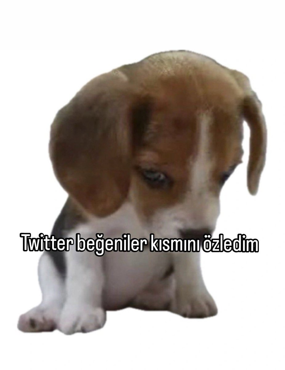 anlikmod's tweet photo. https://t.co/MMIlR5NrAs