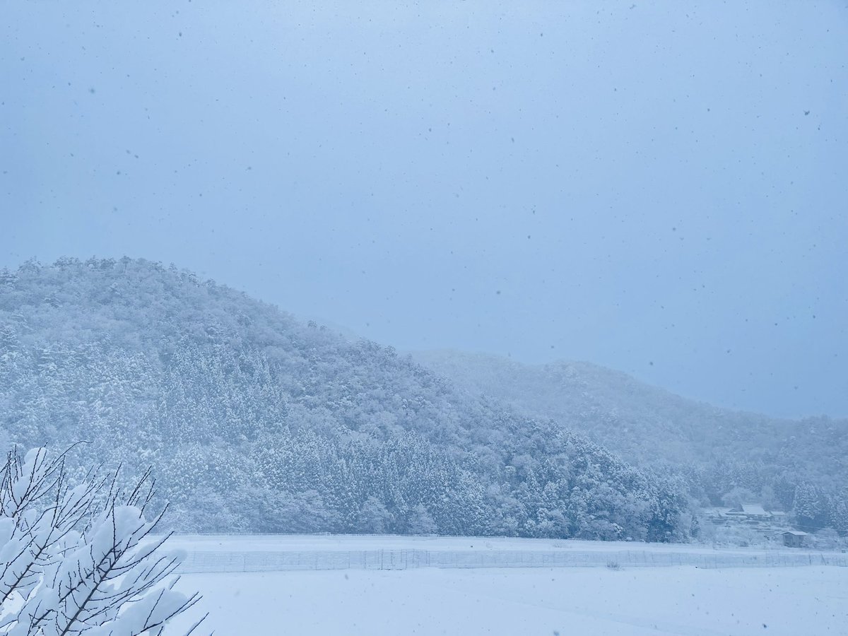 おはようございます。
一晩でさらに降り積もり、辺りはふかふかの雪に包まれていました。

#田舎の景色　
#イマソラ 
#早朝の風景　
#田舎の景色が好き　
#早朝の空気が好き　
#朝の山　
#養父市の出版社
#白兎舎　
#ひとり出版社