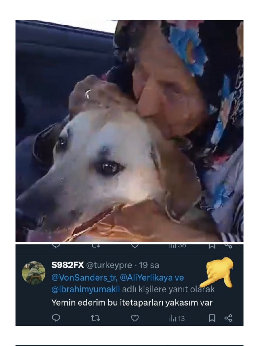MavininEvi's tweet photo. Yaşlı bir kadını, hayvanları ile birlikte yaşadığı derme çatma baraka evde  yakarak öldürdüler!! https://t.co/x949jjN2ny