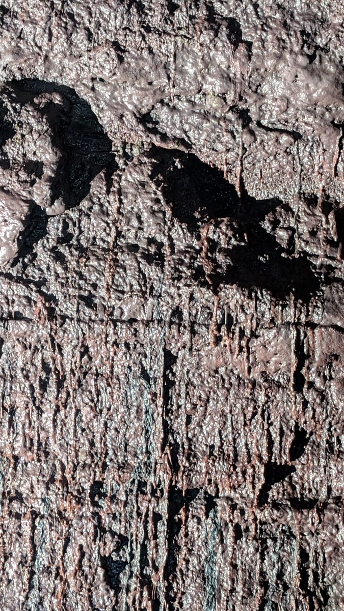 Geography at Nottingham High School tweet media