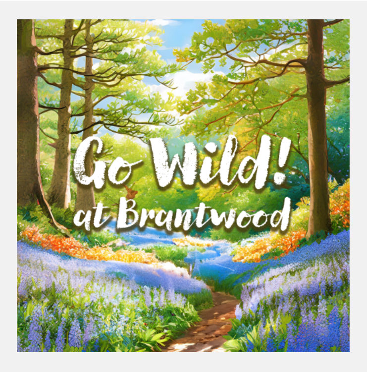 Fun for all!  It’s birds, birds, birds!  19 February 2025 brantwood.org.uk