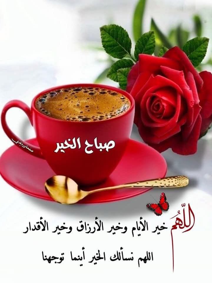 روز 🍃🌹 tweet media