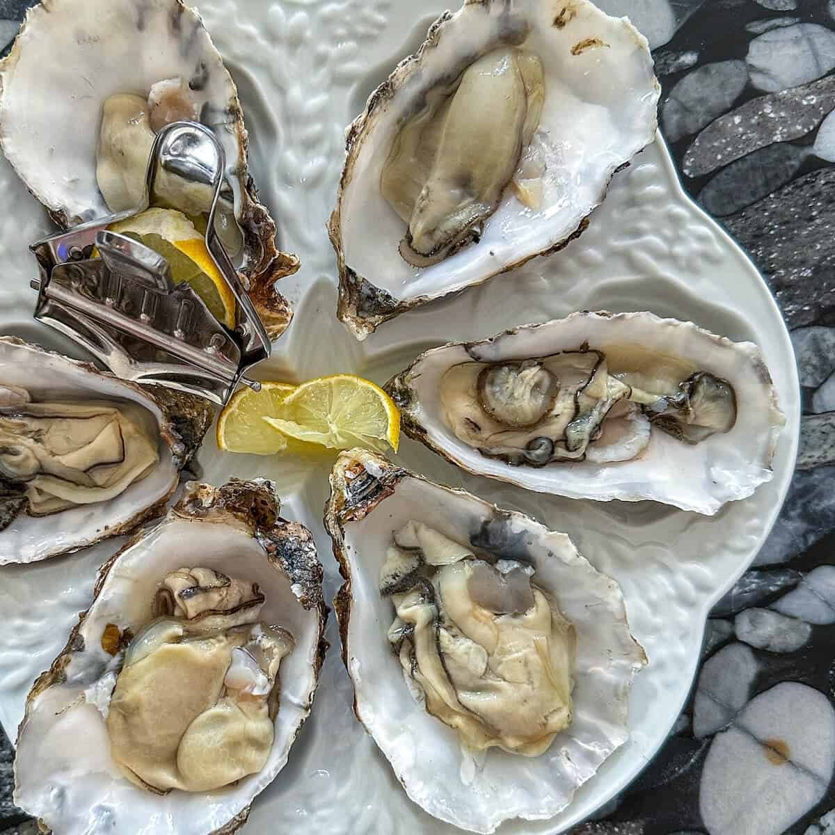 primarevolution's tweet photo. SEAFOOD:
- geoduck clam (high in glycoproteins, omega-3 acids, selenium)
- abalone (vitamin B12, omega-3 fatty acids, copper)
- sea urchin roe (vitamin A, vitamin C, omega-3 fatty acids)
- oysters (zinc, magnesium, DHEA, niacin, riboflavin)
- rainbow trout (astaxanthin, phosphatidylcholine)
- swordfish (methylmercury, taurine)

NOTE: Make sure they are unfrozen, wild-caught, and preferably come from less polluted oceans.