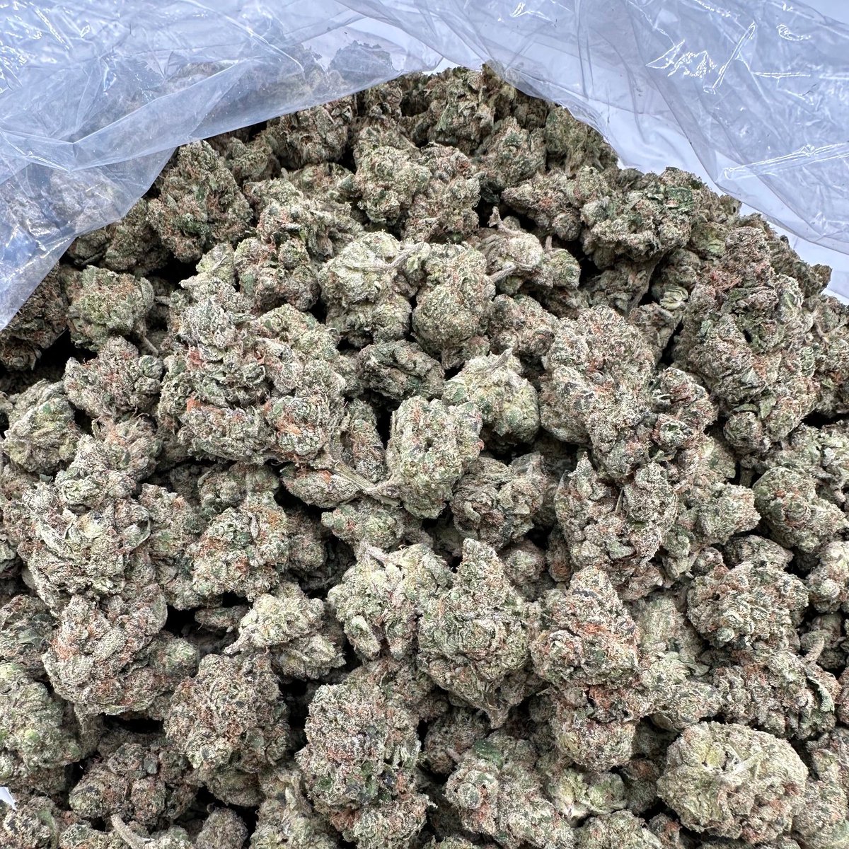 STONERS R US 🍃 tweet media
