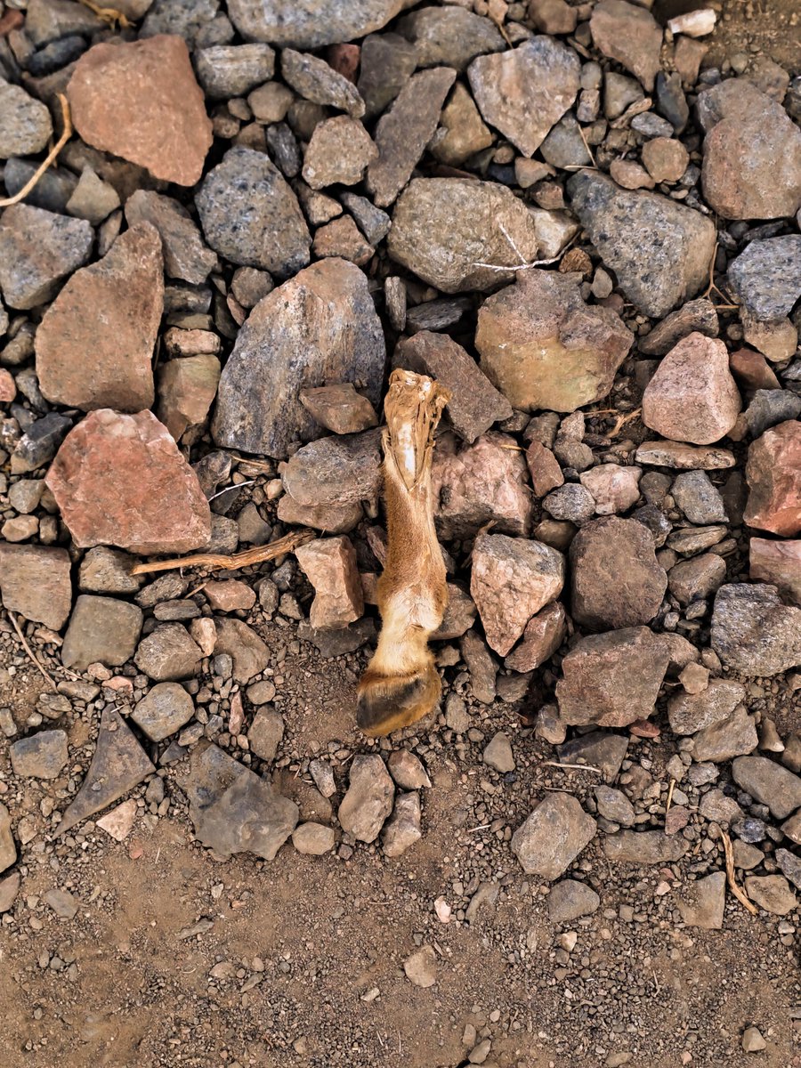 elmoeid's tweet photo. Wadi Sigilia (The Death Valley)💀 https://t.co/oHmcxfFiLv