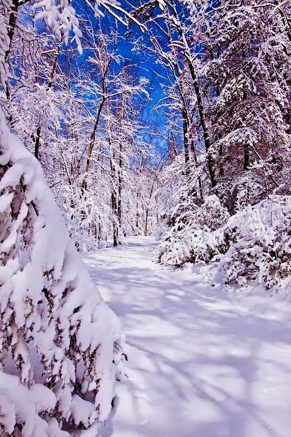 bedondaine2's tweet image. #LaBOG 873 🐞

Formidable ! (70 mots, 232 points)
🟠🟠🟠🟠
🟠🟠🟠🟠
🟠🟠🟠🟠
🟠🟠🟠🟠
#LeMotLeJeu #Boggle

solitaire-play.com/labog/