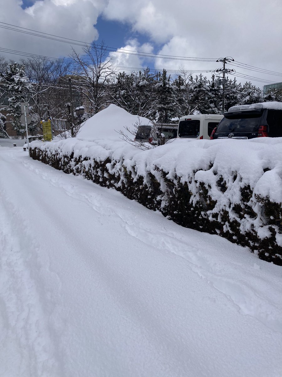 Image for the Tweet beginning: 今日の秋田市。
目が雪焼けして痛い。