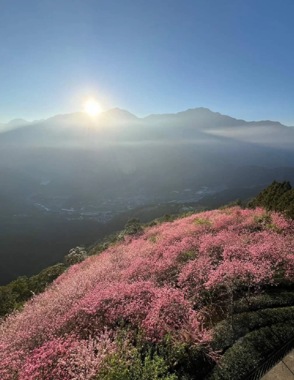 私の気分は昇る太陽☀️のように、暖かくて明るく、すべてのもや🌫️と静けさ🌌を払いのけ、無限の希望🌈と活力💪をもたらします。