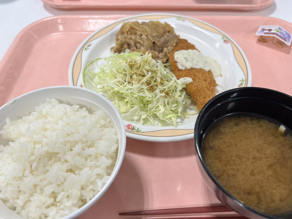 rikamatsu_altr's tweet image. 昨日に引き続き、名工大ソーラーカー部で積層材解析のハンズオントレーニング💻 今日は静岡大学SUM🏎️からも2名来てくれました。#optistruct  #ソーラーカー #学生フォーミュラ
 今日の学食は生姜焼き定食！