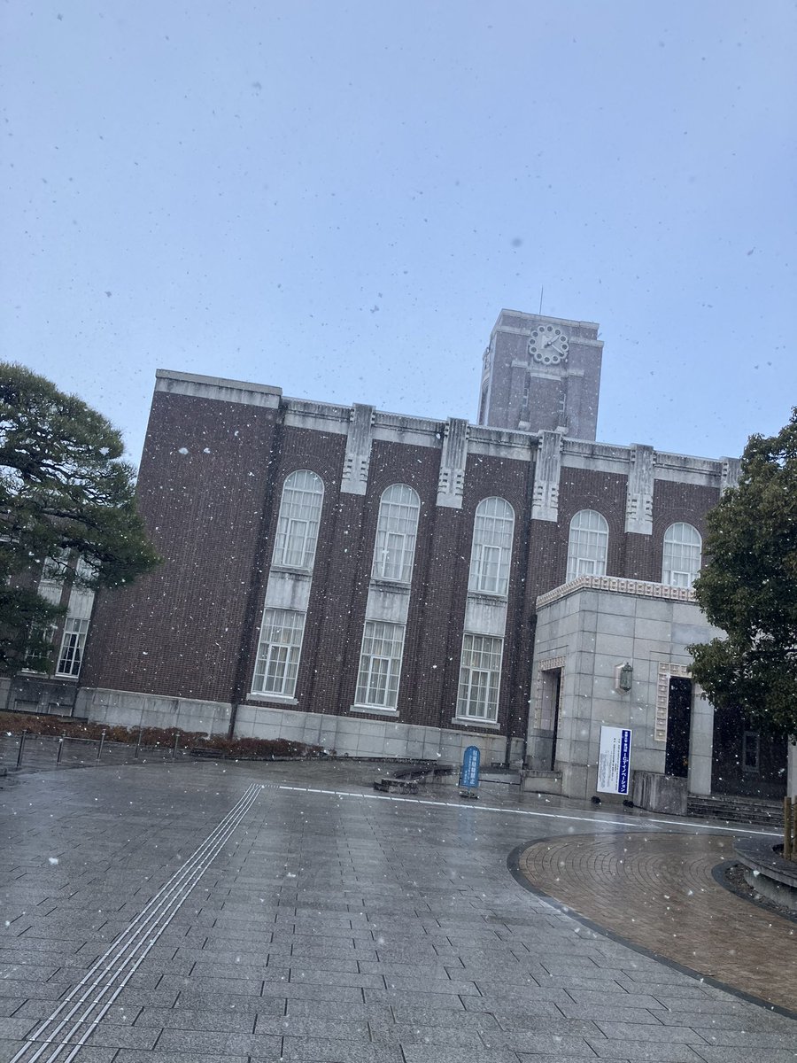 fek_25's tweet photo. ゆき https://t.co/MU2amBW41S