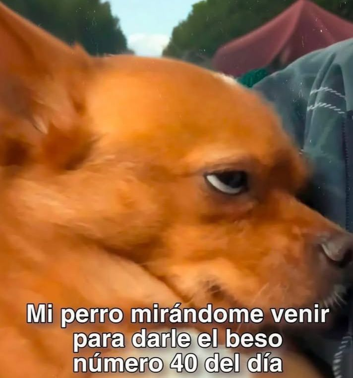Uno más y ya 😅