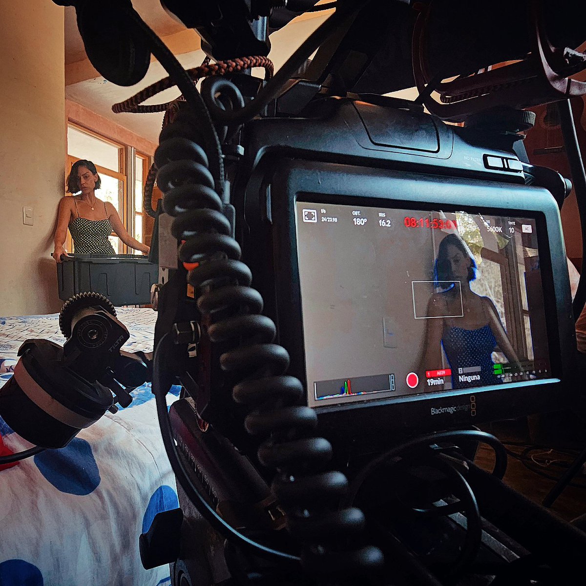 Arturo Tay tweet media