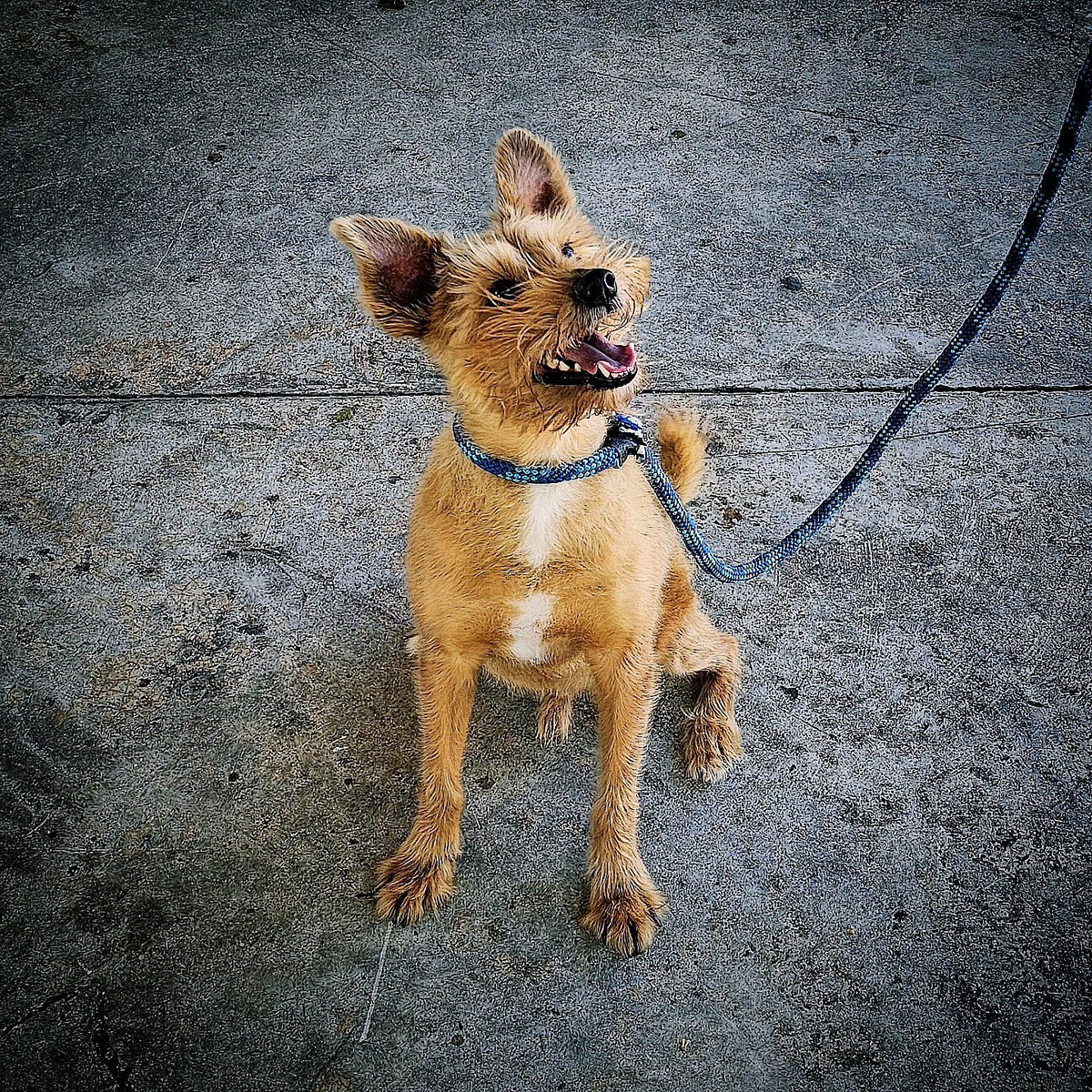 Arturo Tay tweet media