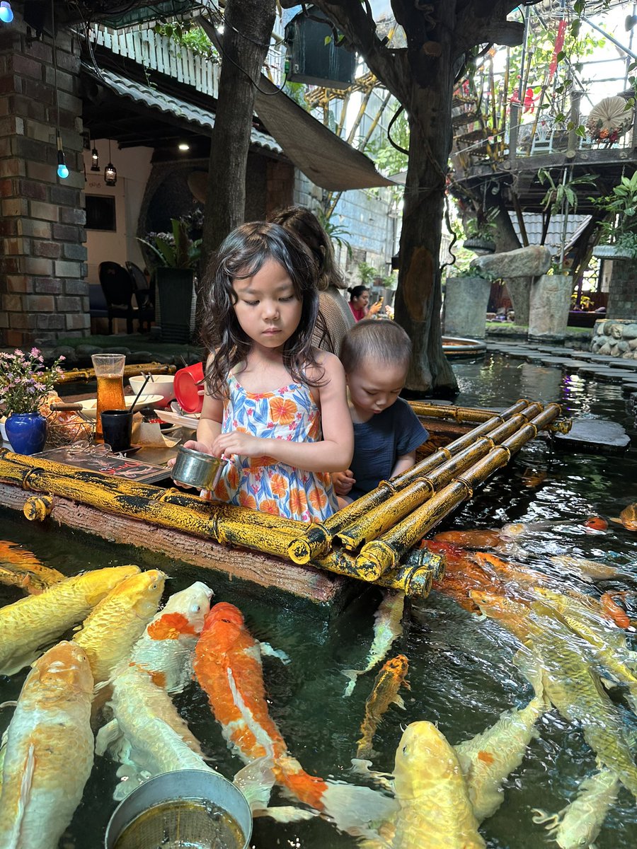 Jeff | shade.ron (@jeffreykam) on Twitter photo Congrats to the <a href="/FishingFrenzyCo/">Fishing Frenzy</a> team on the mint! I celebrated by taking my family to a koi fish cafe in search for a Golden Koi this morning! Congrats to the <a href="/FishingFrenzyCo/">Fishing Frenzy</a> team on the mint! I celebrated by taking my family to a koi fish cafe in search for a Golden Koi this morning!