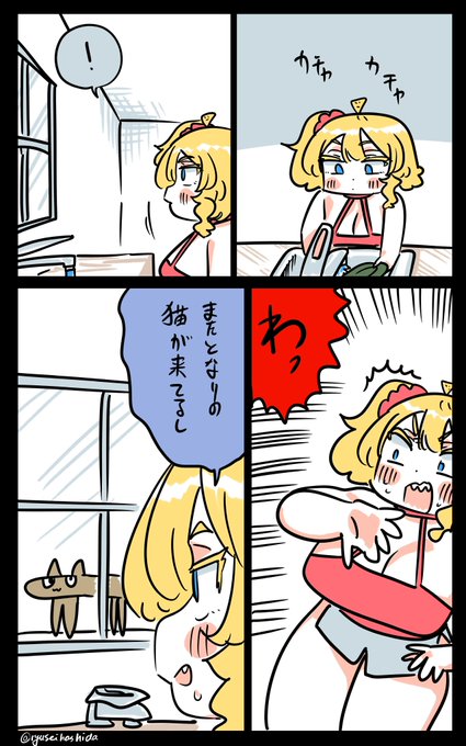 目が合ったフロリダちゃん日記です。 