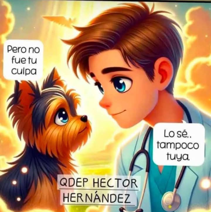 gigeiii's tweet photo. Hoy se llevó a cabo la marcha pacífica por parte de médicos veterinarios de varias entidades del país, exigiendo justicia para si mismos y para nuestro colega Héctor Hernández Cañas. Su caso no se olvida!
#justiciaparahector
#niunveterinariomas https://t.co/cXYwNo6veG