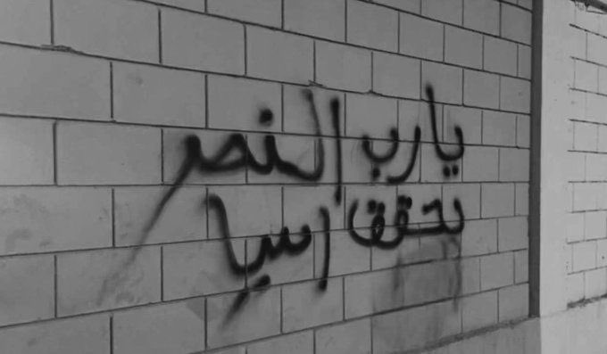 Ali tweet media