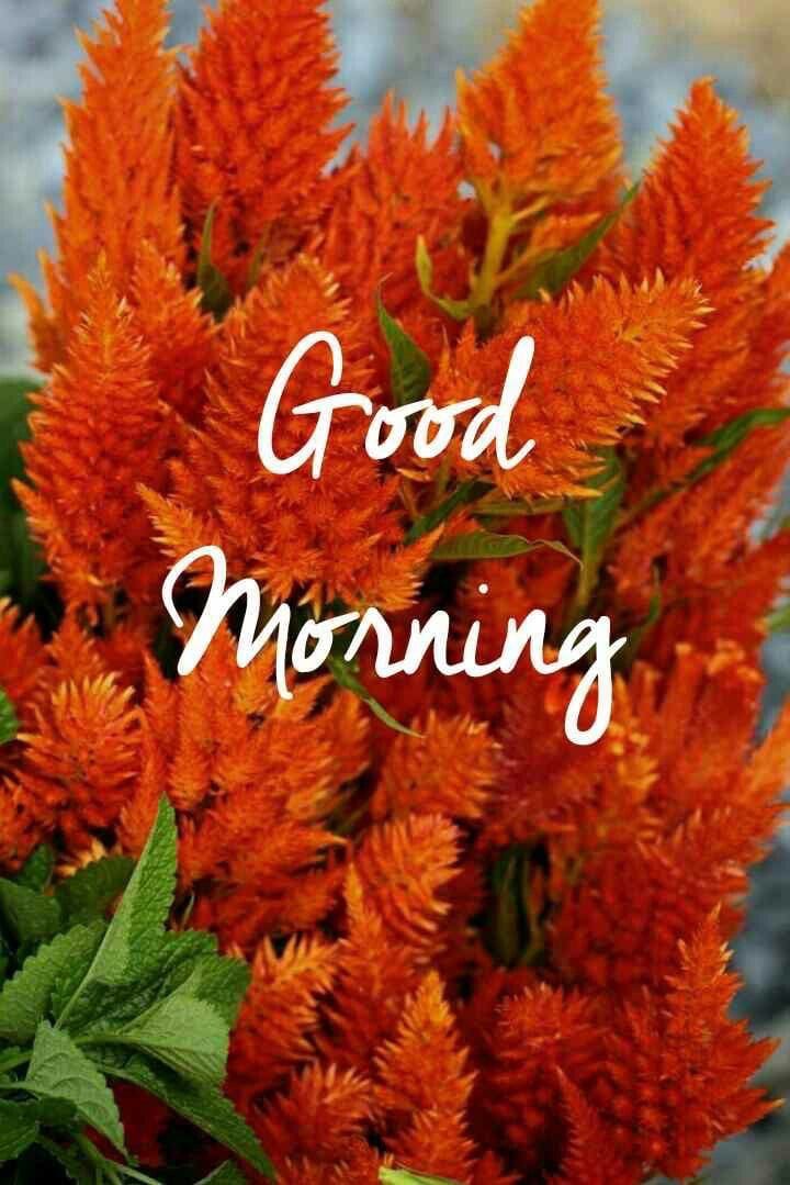 सप्रेम नमस्कार. 🙏