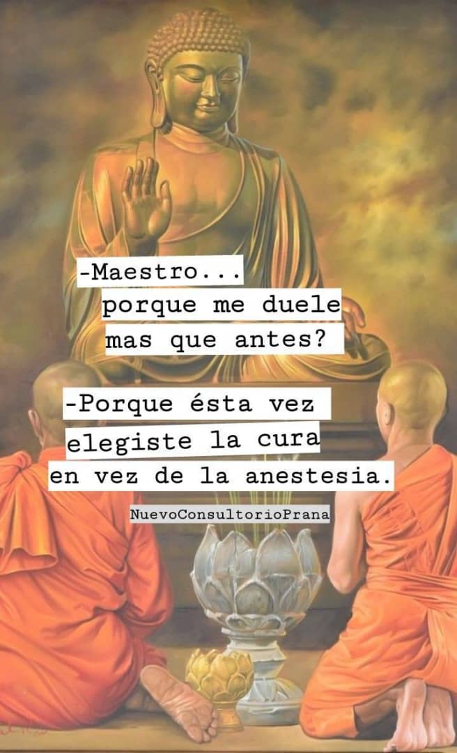 Namaste_Mandala's tweet photo. ✨ *En Gratitud Plena* 🎋 https://t.co/53jh36GRrW