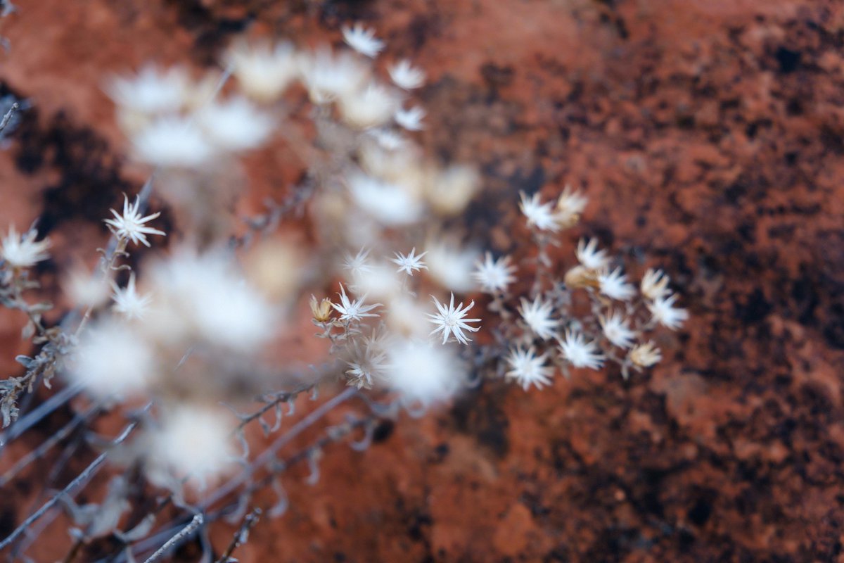 After the Rain in Winter
