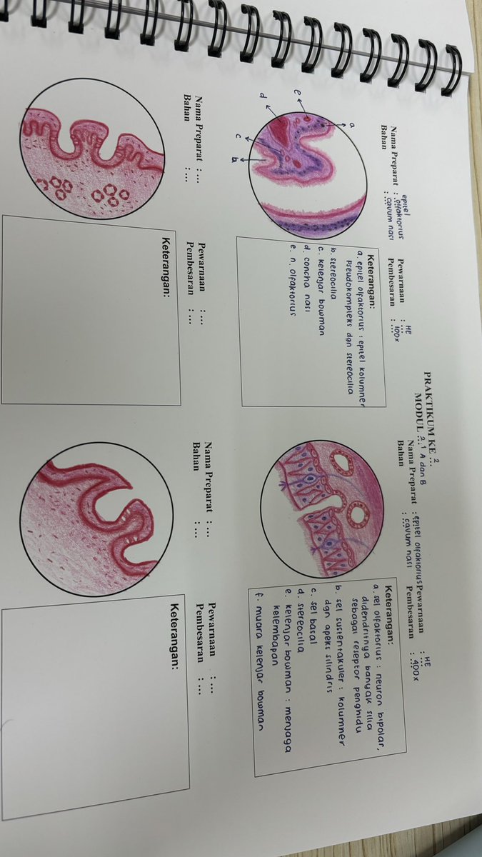 vaneeyaa tweet media