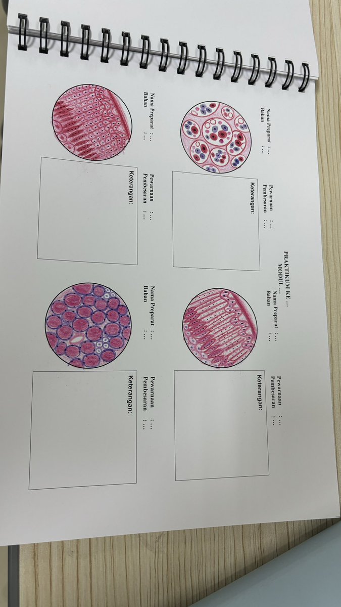 vaneeyaa tweet media