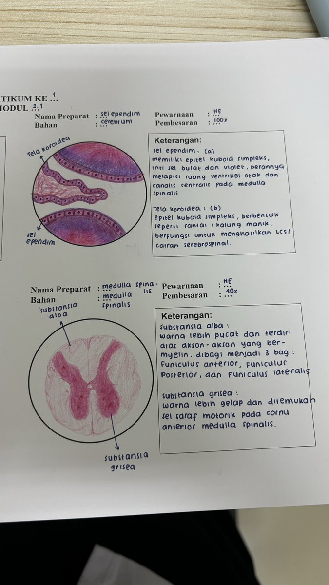 vaneeyaa tweet media
