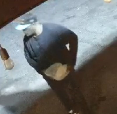 LVMPD's tweet photo. 🚨Do you recognize this suspect?🚨

Detectives are seeking the public's help identifying an individual who is suspected of committing several burglaries throughout the Las Vegas Valley.

Anyone with any information about these incidents is urged to contact detectives at 702-828-2639 or by email at SVACPD@LVMPD.COM. To remain anonymous, contact @CrimeStoppersNV.